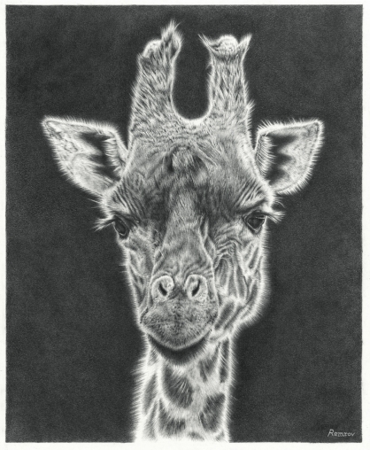 Giraffe drawing 2_Fotor_Fotor