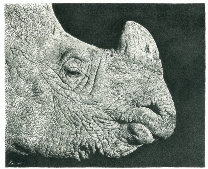 Rhino Drawing FAA 3